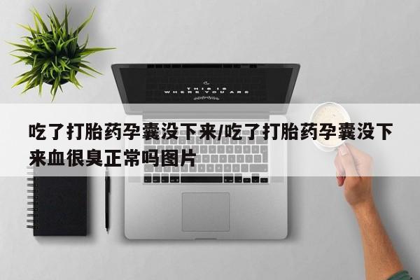 打胎药/堕胎药专卖微信吃了打胎药孕囊没下来/吃了打胎药孕囊没下来血很臭正常吗图片