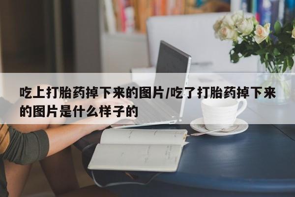 打胎药/堕胎药专卖微信吃上打胎药掉下来的图片/吃了打胎药掉下来的图片是什么样子的